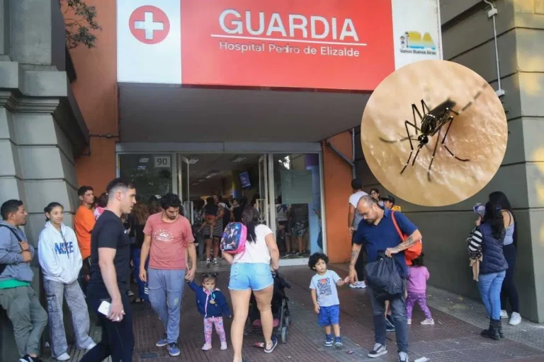 Dengue en Argentina: según el Ministerio de Salud, ya se registraron 230.000 casos y 161 muertos