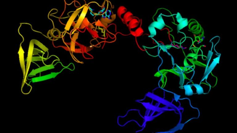 Un grupo de científicos presenta nuevos hallazgos sobre la proteína histona H1