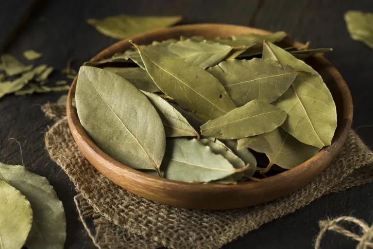 Rituales con hojas de laurel para atraer dinero y prosperidad