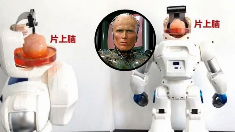 China desarrolla robot con cerebro hecho de células madre